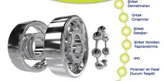 Rulman endüstrisindeki tüm birleşme ve satın alma işlemleri için referans Danışmanı!