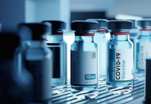 Timken’in Mühendislik Uzmanlığı, Aşıları Güvenli ve Kullanılabilir Durumda Tutuyor