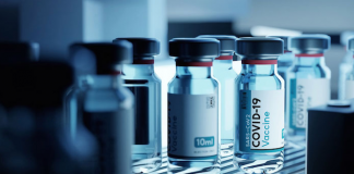 Timken’in Mühendislik Uzmanlığı, Aşıları Güvenli ve Kullanılabilir Durumda Tutuyor